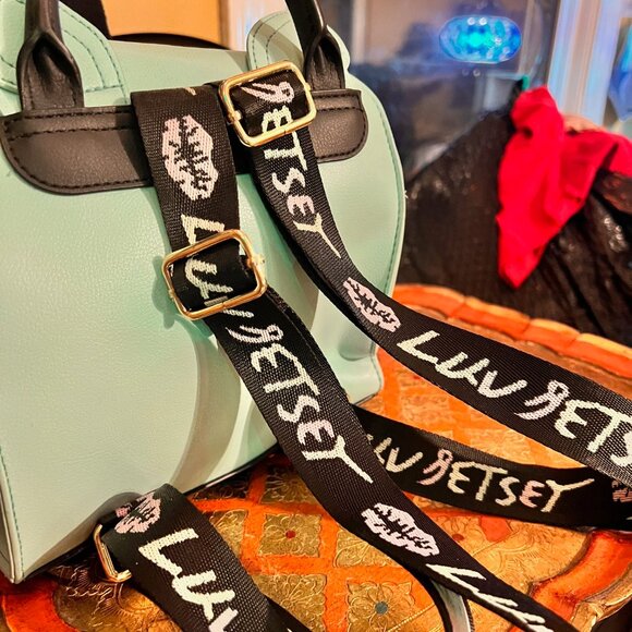 Betsey Johnson new Cat Backpack, Mint Green, Striped interior lining, straps main image 6